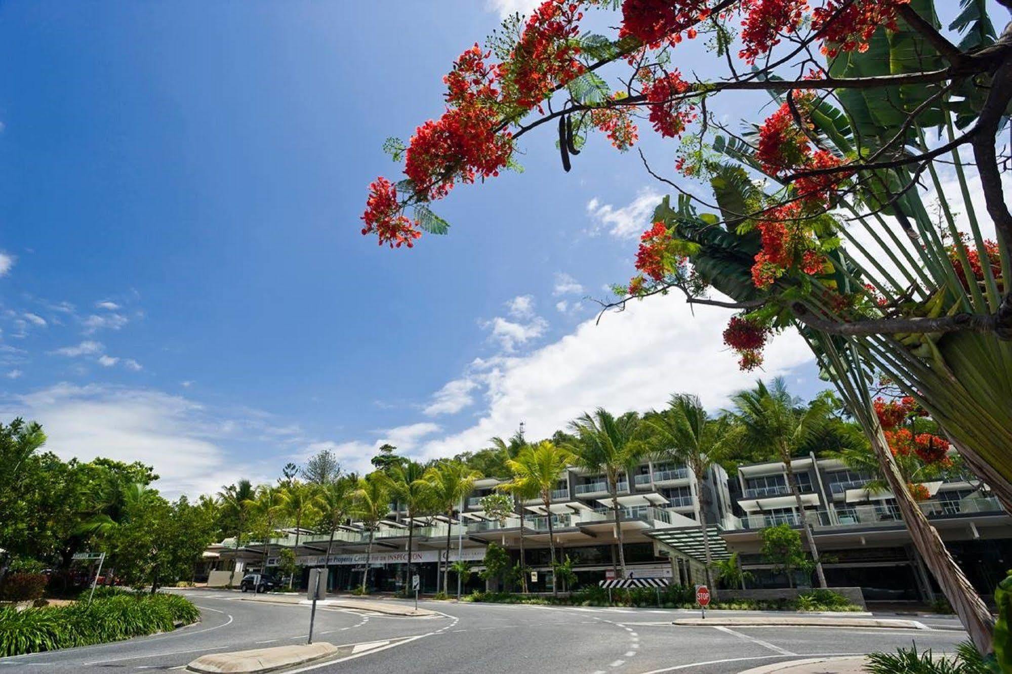 Coconut Grove Aparthotel Port Douglas Ngoại thất bức ảnh
